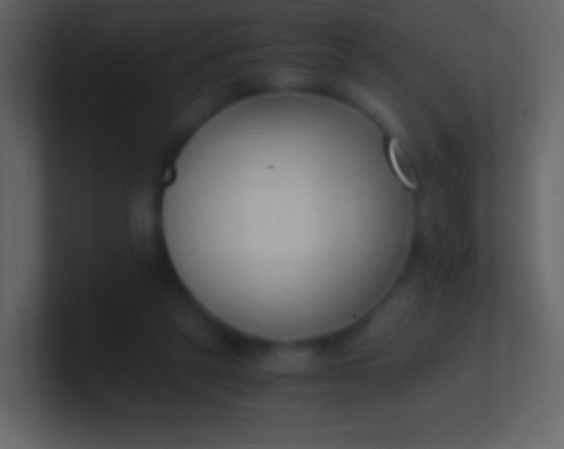 X0000100940257200807081241