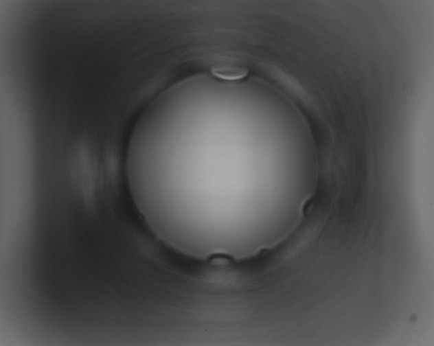 X0000100940258200807081241