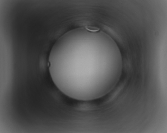 X0000100940259200807081241