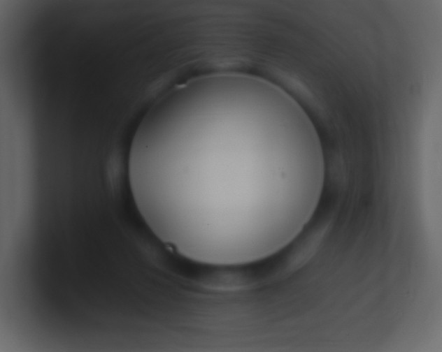 X0000100940260200807081241