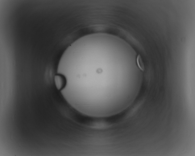 X0000100940262200807081241