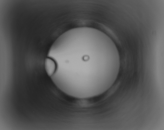 X0000100940265200807081241