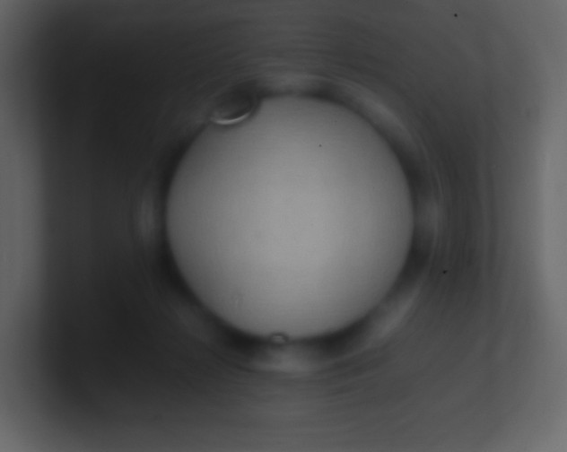 X0000100940268200807081241