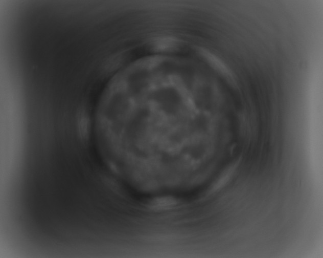 X0000100940269200807081241