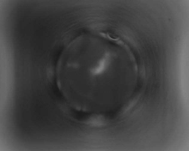 X0000100940271200807081241