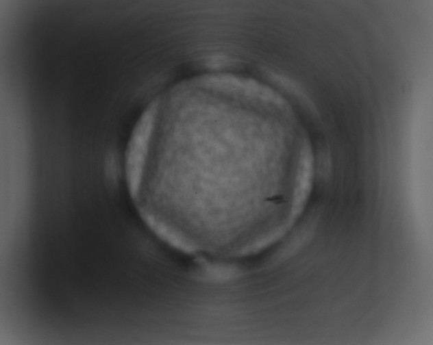 X0000100940272200807081241