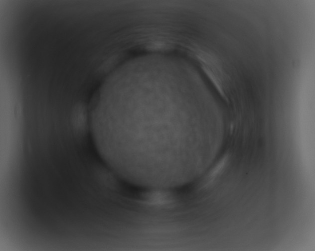 X0000100940273200807081241