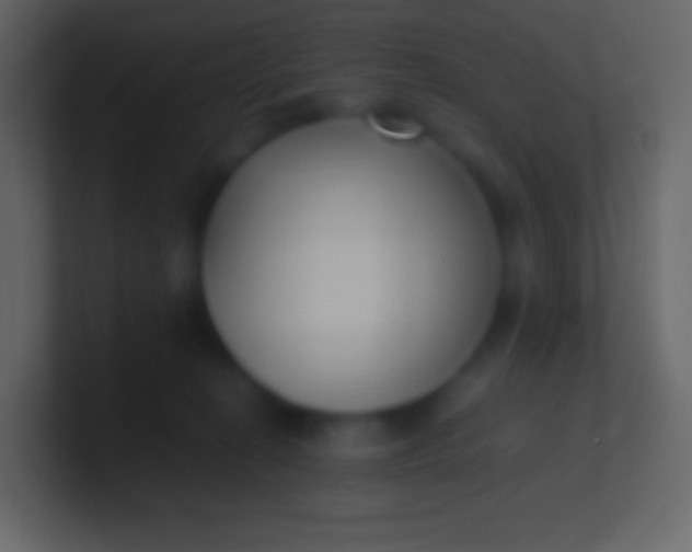 X0000100940274200807081241