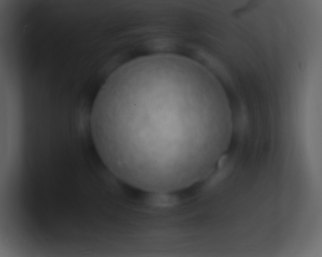 X0000100940281200807081241