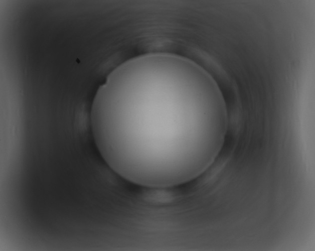 X0000100940282200807081241