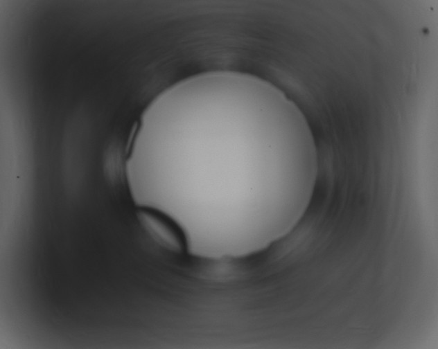 X0000100940287200807081241