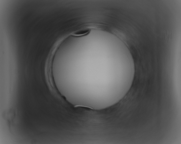 X0000100940289200807081241