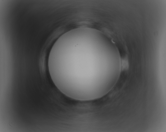 X0000100940291200807081241