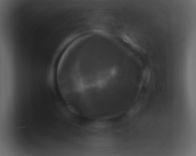 X0000100940292200807081241