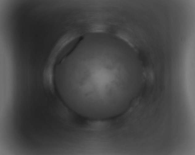 X0000100940293200807081241