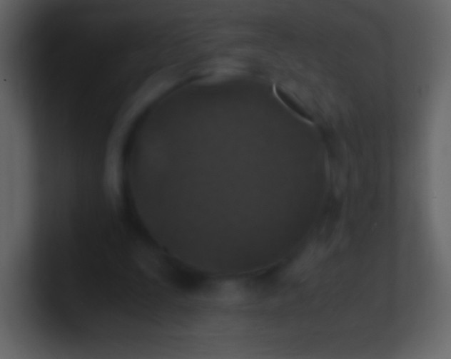 X0000100940295200807081241