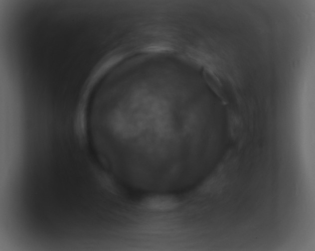 X0000100940296200807081241