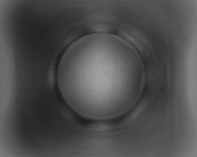 X0000100940299200807081241