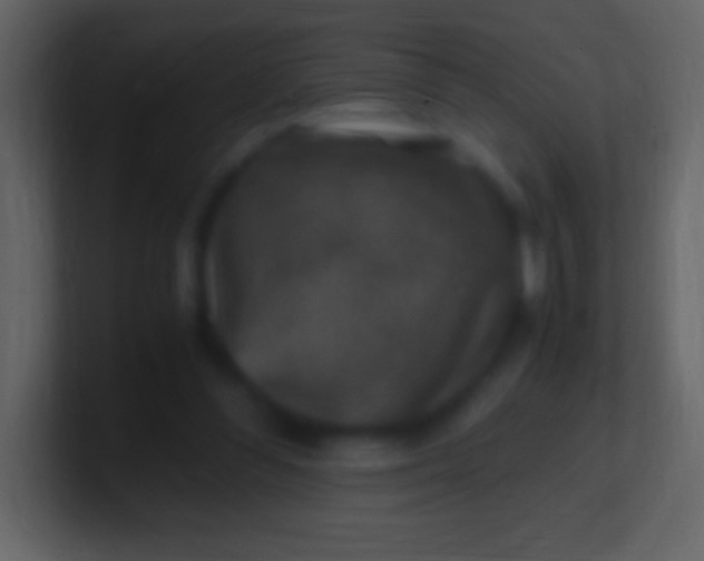 X0000100940300200807081240