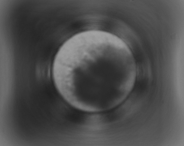 X0000100940301200807081240