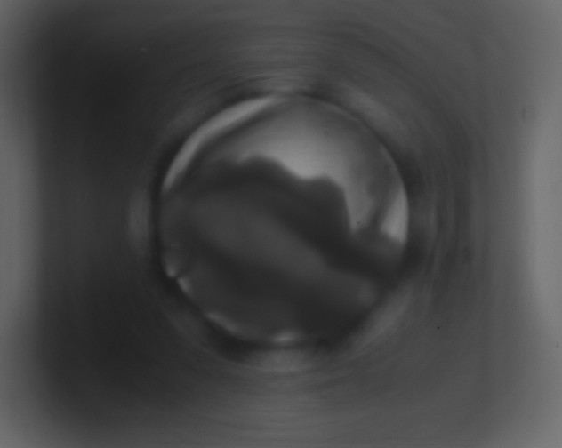 X0000100940303200807081240