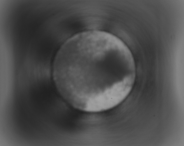 X0000100940305200807081240