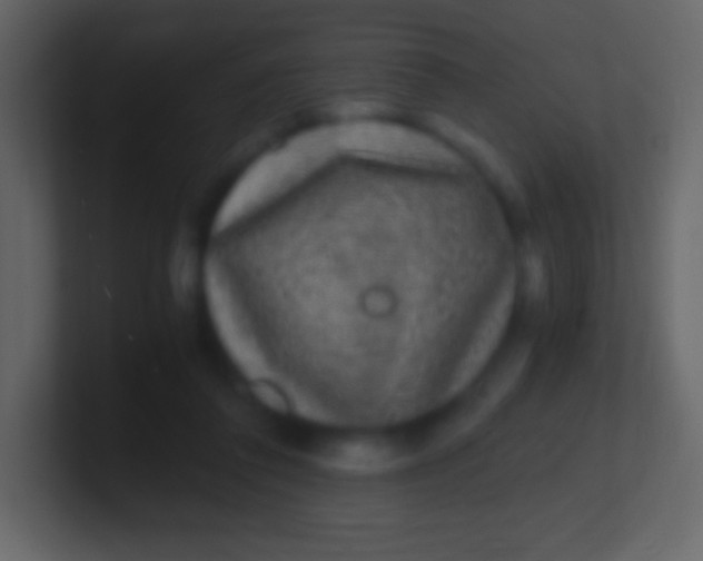 X0000100940308200807081240