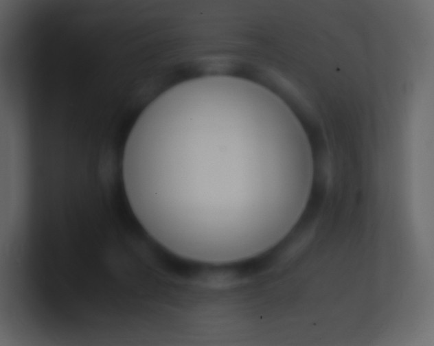 X0000100940311200807081240