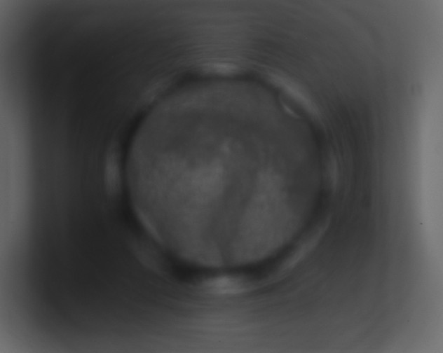 X0000100940312200807081240