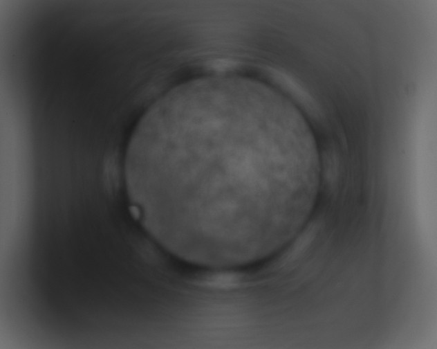 X0000100940313200807081240