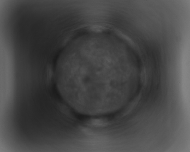 X0000100940314200807081240