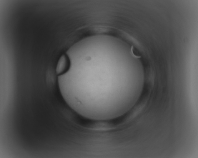 X0000100940315200807081240