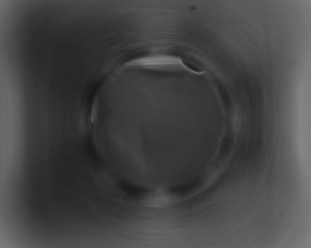 X0000100940316200807081240