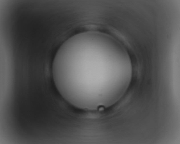 X0000100940317200807081240