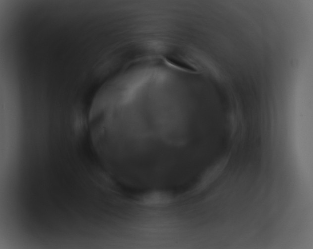 X0000100940320200807081240