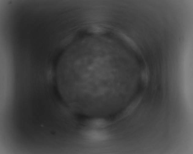 X0000100940322200807081240