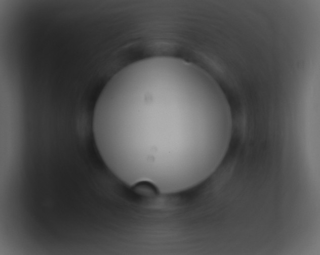 X0000100940323200807081240