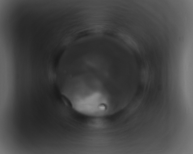 X0000100940324200807081240