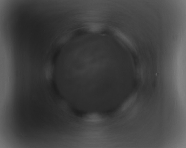 X0000100940325200807081240