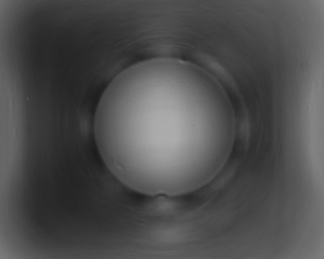 X0000100940326200807081240