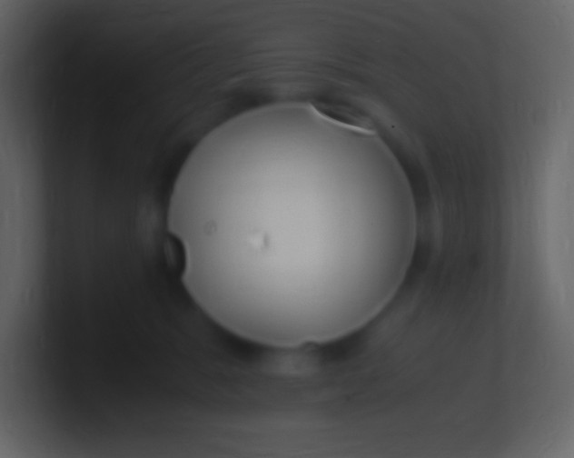 X0000100940327200807081240