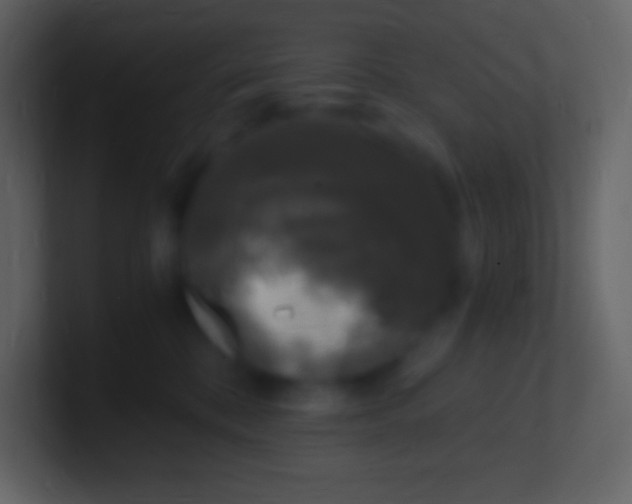 X0000100940328200807081240