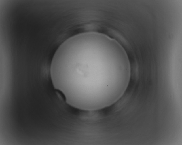 X0000100940329200807081240