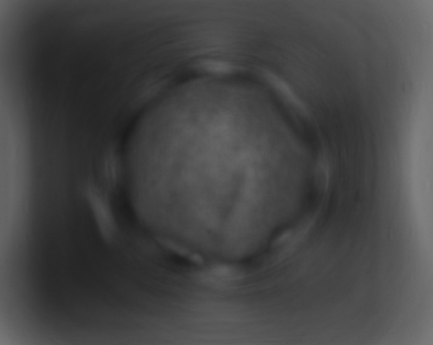 X0000100940330200807081240