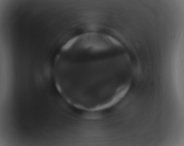 X0000100940331200807081240