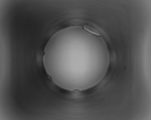 X0000100940333200807081240