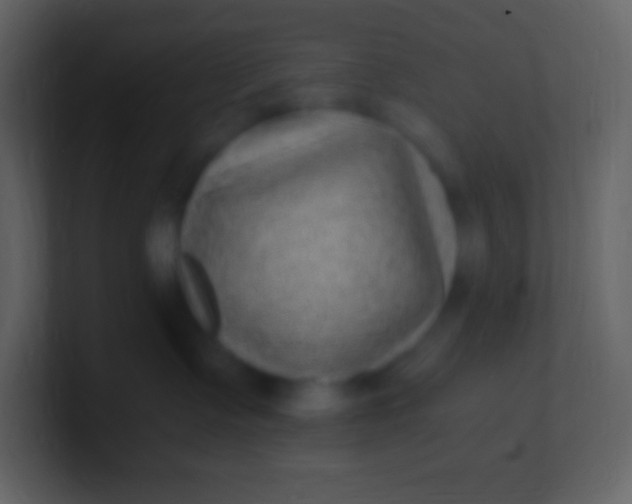 X0000100940335200807081240