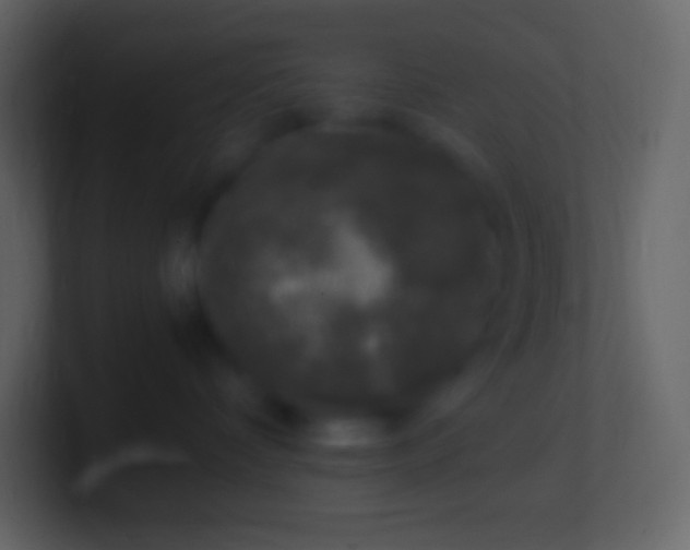 X0000100940336200807081240