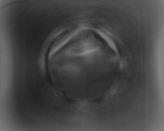 X0000100940339200807081239