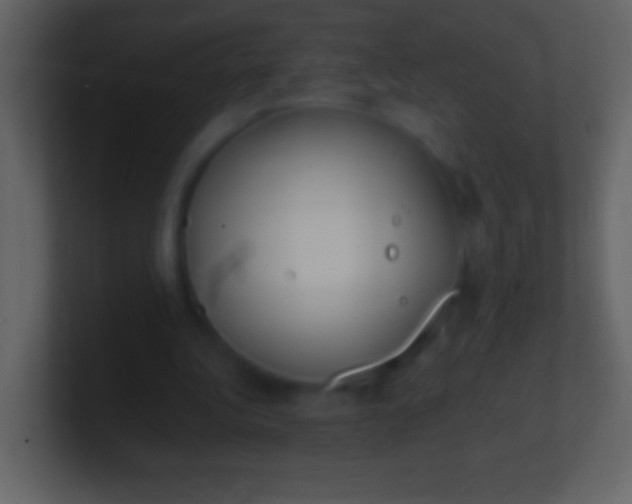 X0000100940340200807081239